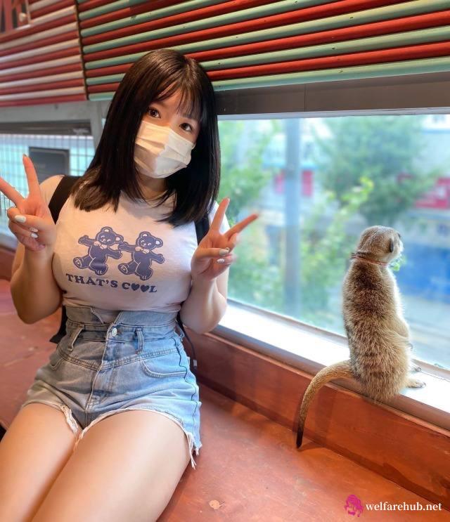 野料豆是黑豆吗！ai内容检测工具怎么用